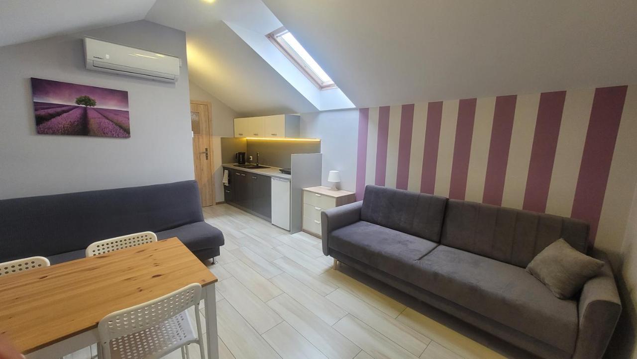 Wrzosowe Wzgorze Apartamenty Checiny  Exterior photo